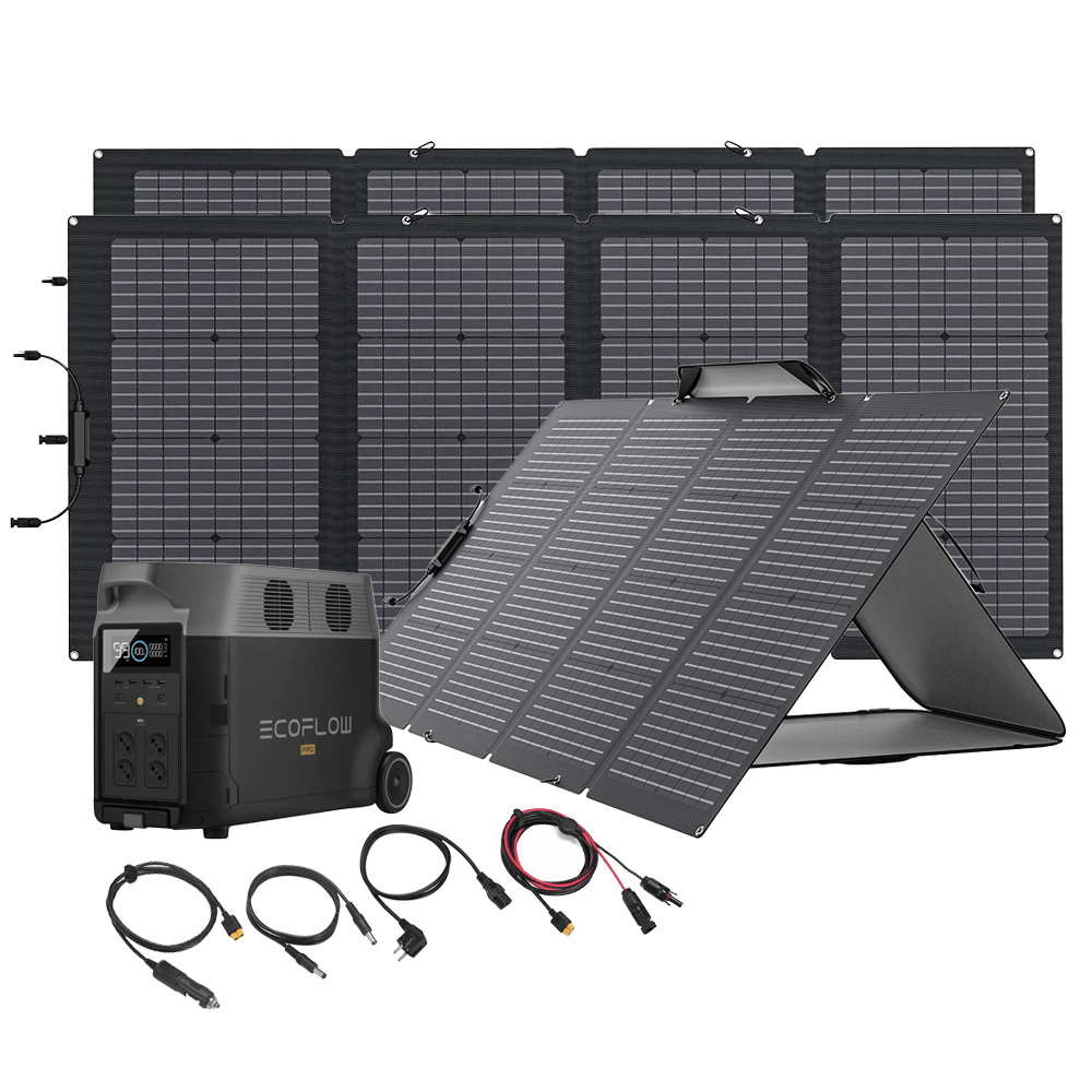 Bundle EcoFlow Delta Pro + 3x 220w solar bag