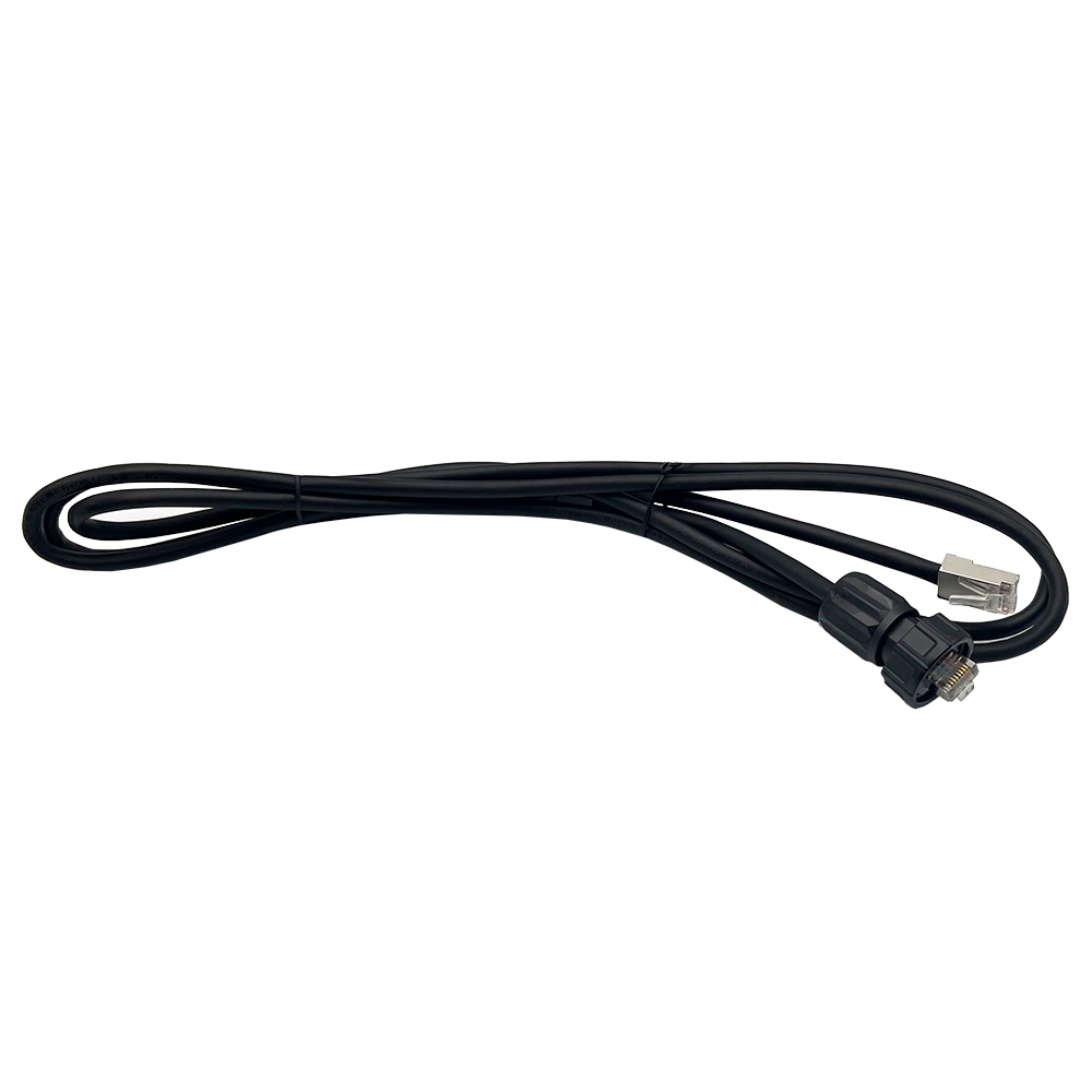 Schwarzes Kabel mit Daten-Anschlussstücken an beiden enden